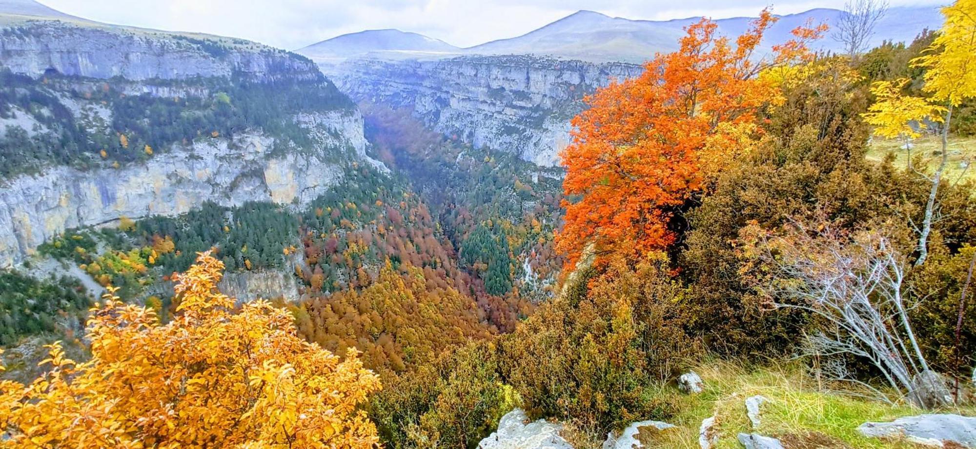 Casa Pirinea Ordesa ξενώνας Belsierre Εξωτερικό φωτογραφία